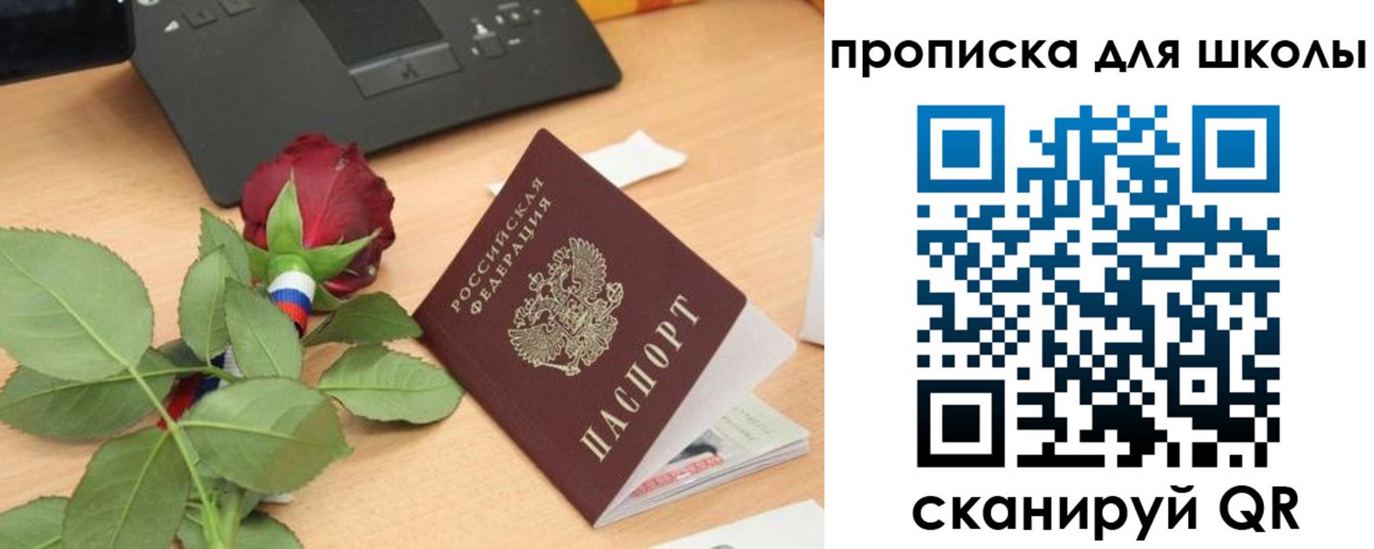 прописка паспорт в Новомосковске